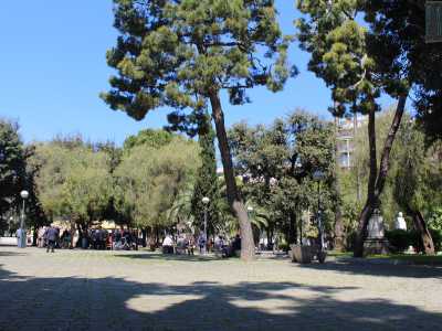 ...si affiancano a specie tipiche della zona mediterranea come querce, pini, oleandri, cipressi, tigli, olmi...